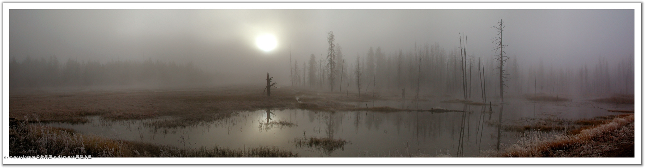 011109_Morning_Fog.jpg