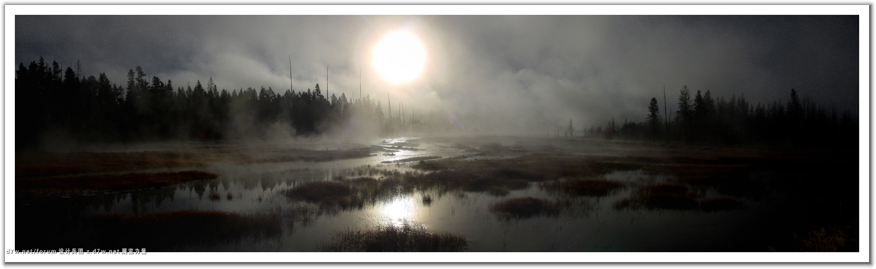 011220_Misty_Marsh.jpg