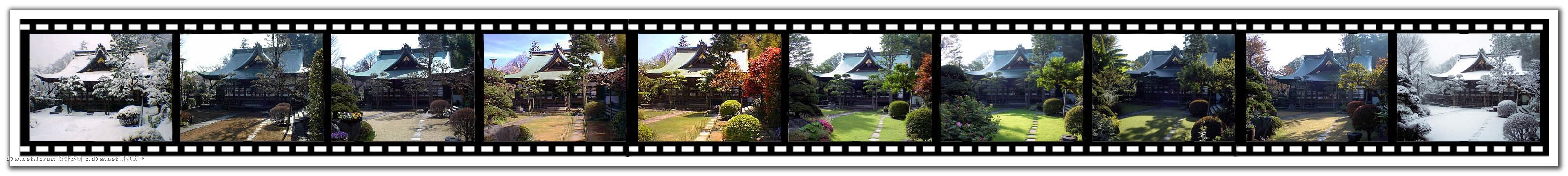 111646-The Seasonal Changes (2000-2001).jpg