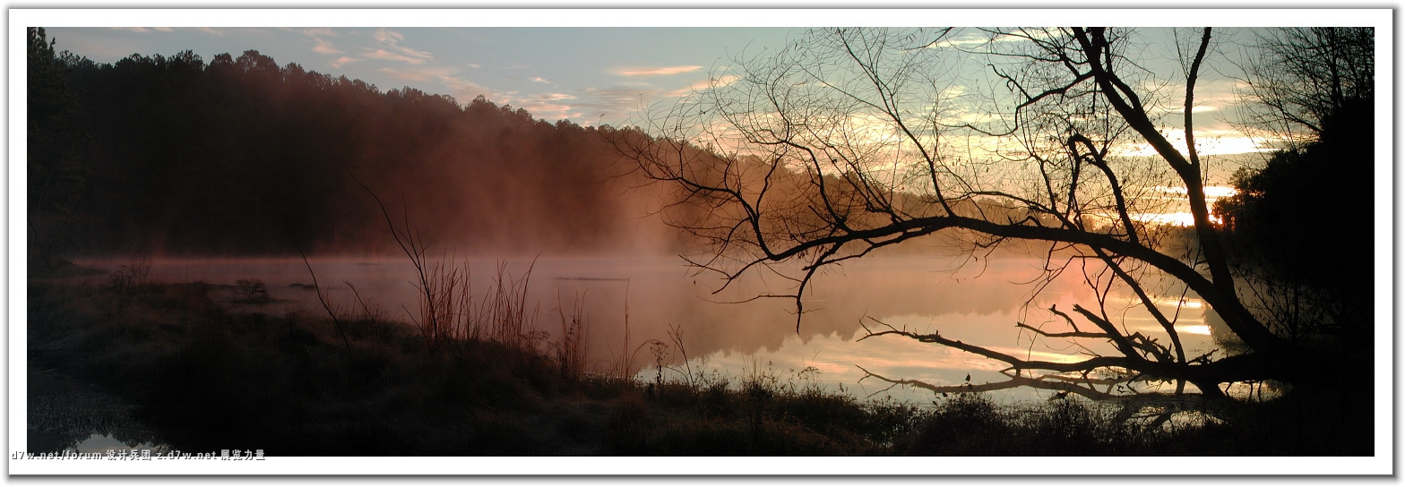 256786-Morning Mist.jpg