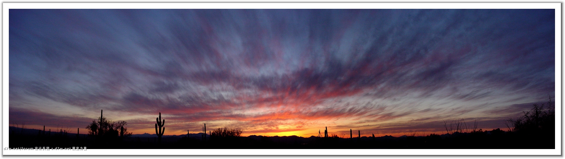 262972-Desert Sunset.jpg
