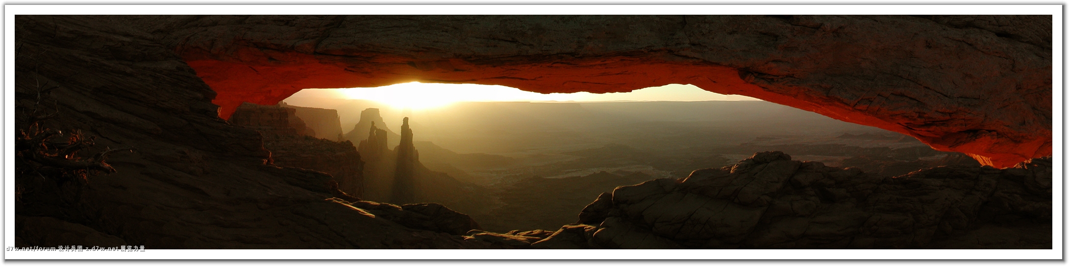 304262-Morning Glow.jpg