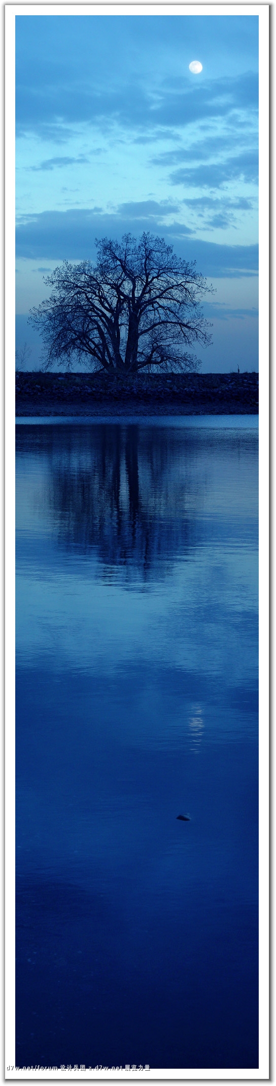 319286-Moon River.jpg