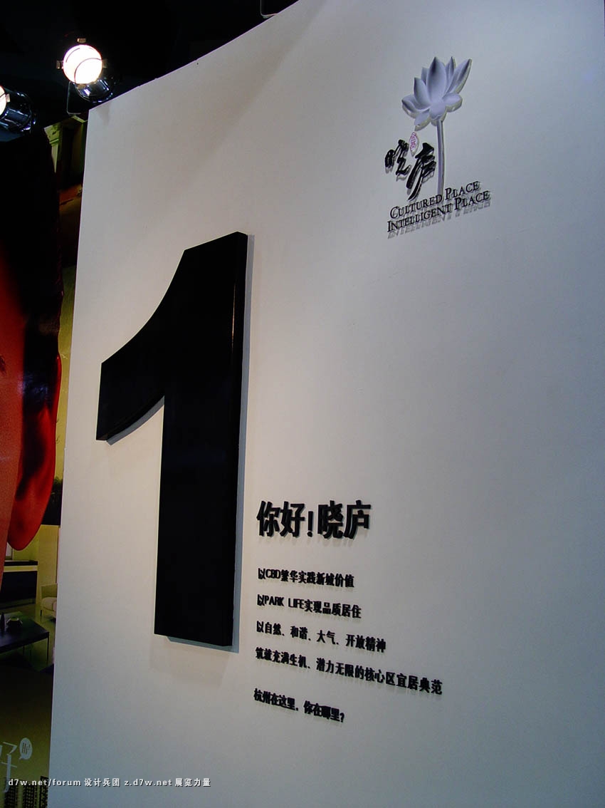 DSC02487 .jpg
