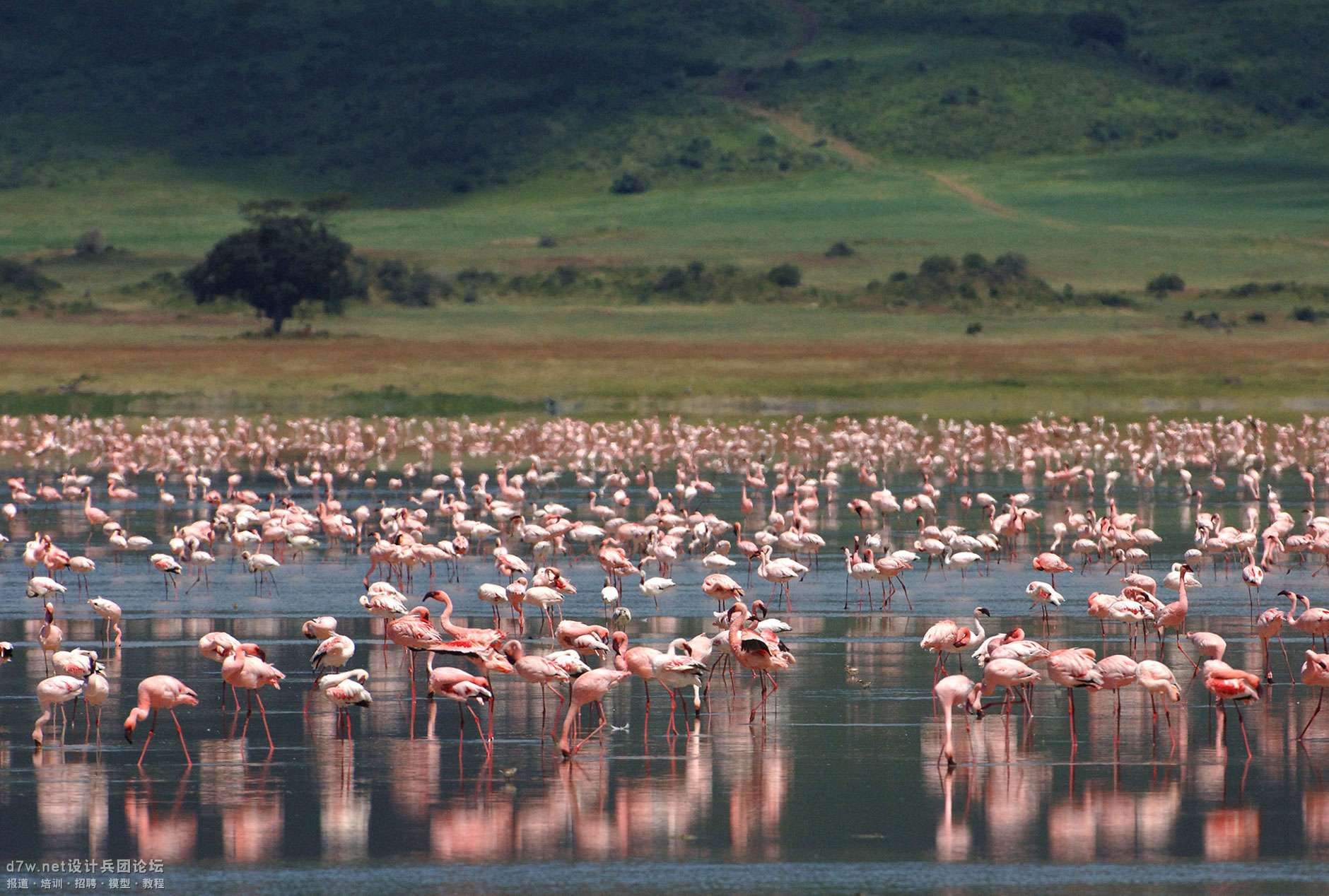 Ngorongoro-Crater-Lodge-07.jpg