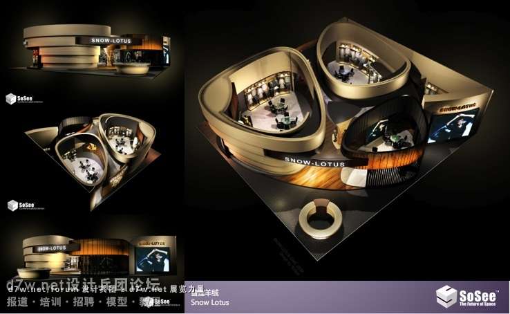 About SoSee 2011.014.jpg