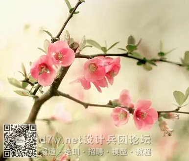 QQͼ20150611101957.jpg