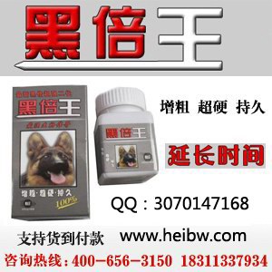德国黑倍王二代.jpg
