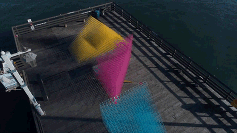 3.gif