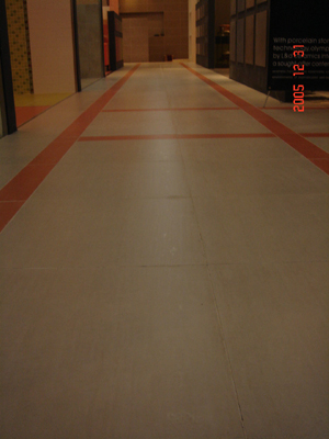 DSC01729.jpg
