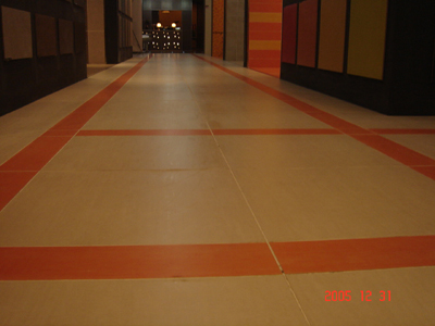 DSC01737.jpg