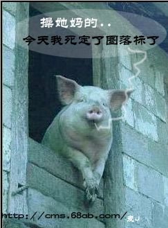 C2DED948AA576A30F417430C16AF2B8A.JPG