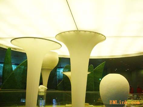 06081811046521.jpg