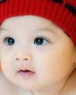 u=94104863,665058063&gp=34.jpg