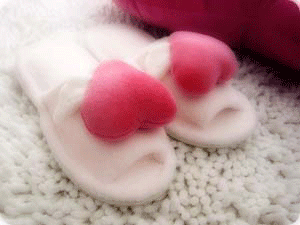 20070602102861186.gif