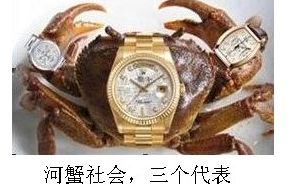 060FEFC5E981CEF4C9A4777A8C485758.jpg