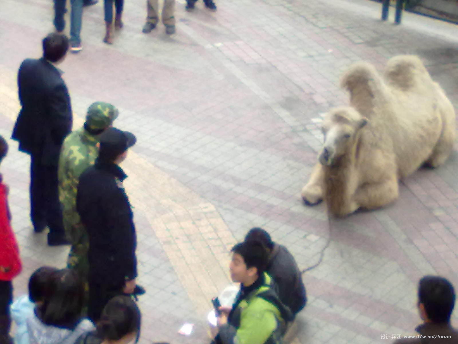 20110122059.jpg