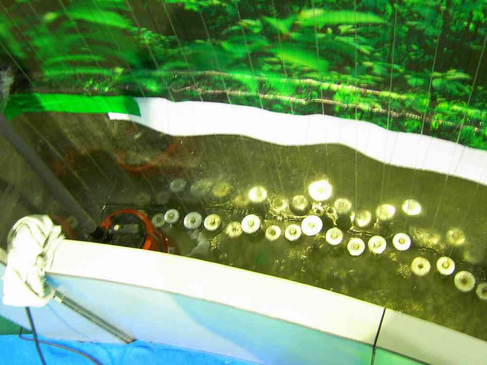 PICT4989.JPG