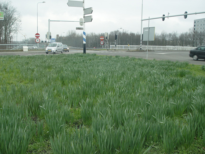 DSC06493.jpg