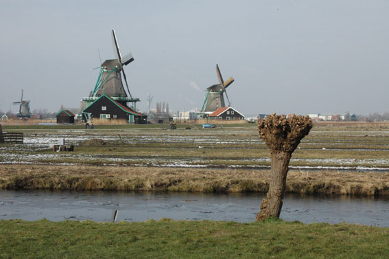 DSC_0130.jpg