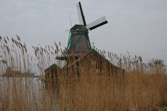 DSC_0163.jpg