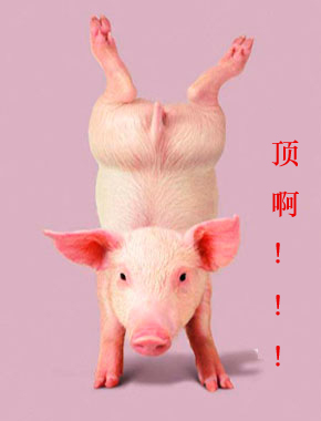 {85ADE952-C0CC-4351-8C95-FF484AABA304}0.jpg