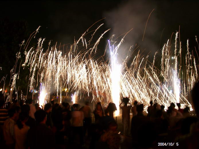200410623014528.jpg