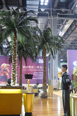 DSC02209.jpg
