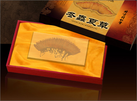 dongdao-show-pack-pic-02-3.jpg