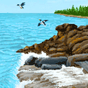 08A81F276D276FA2A355CCF8F0D86B1A.GIF