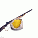 fig01202x.gif