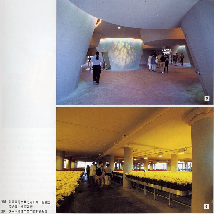 py40_92.jpg