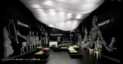 ʵЩ-----2012Ҿչ Brunner չ̨